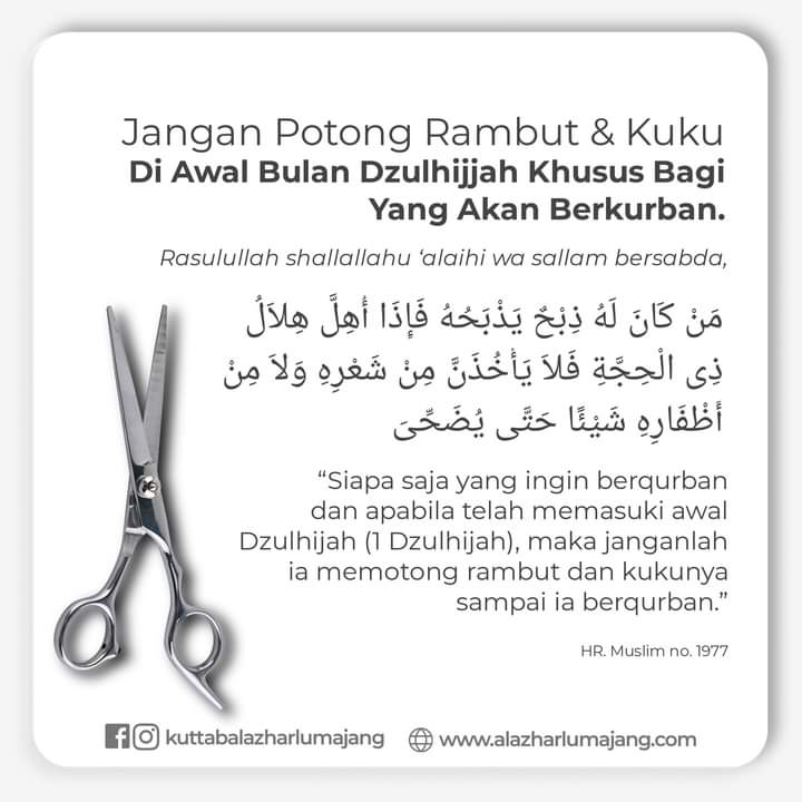 https://alazharlumajang.com/storage/post/6fd17d793b53e7ed0a76b7461679ca8f.jpg